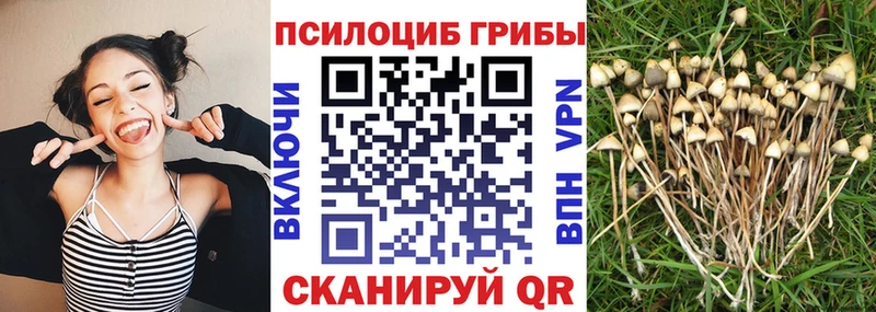 Галлюциногенные грибы мухоморы  Купить закладки  Красный Сулин 